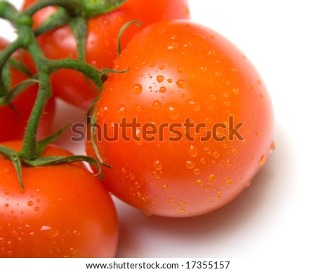 Ripe red tomatoes covered by drops of water on a green branch. Isolation on a white background. Shallow DOF