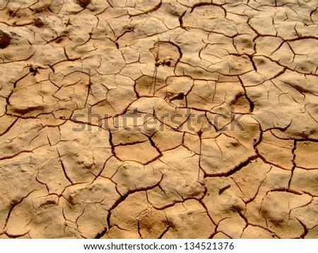 Desert Texture