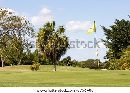 yellow flag on green of tropical golf course
