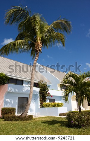 tropical holiday cottages in pastel colours with palm tree