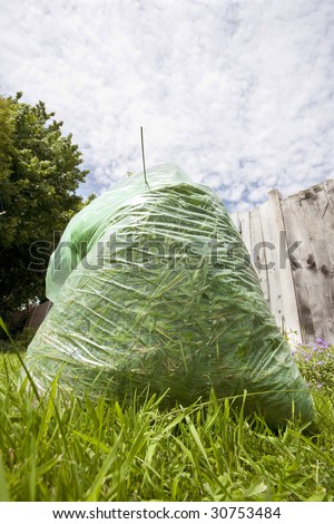 green bag of grass cuttings standing on a grass lawn
