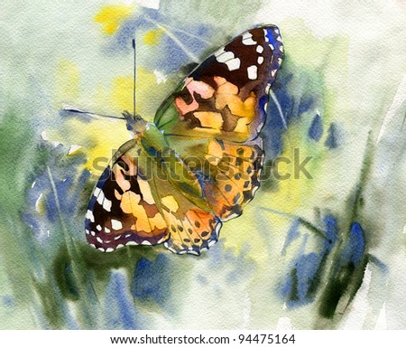 Painted Lady butterfly (Vanessa cardui). Watercolor.