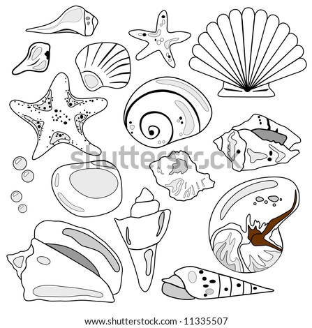 Logo Design Hand on Sea Shell Collection Is Hand Drawn Original Artwork  Stock Photo