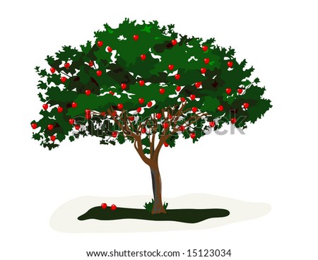 stock vector : Vector Apple Tree is hand drawn original artwork.