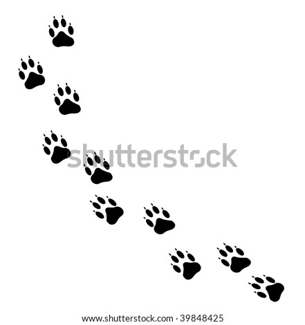 Dog Tracks