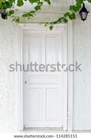 mediteranean mediterranean white door