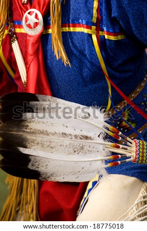This is an image of eagle feathers used during a native american dance.