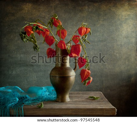 Still life with blue cloth and physalis