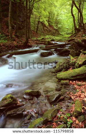 Creek flowing through the woods