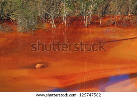 Dead animal found in the Geamana lake\'s water, polluted by copper mining, Romania