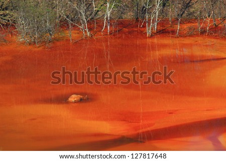 Dead animal representing the pollution effect of copper mining, lake Geamana, Romania