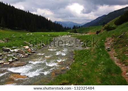 Rapid water stream flowing between mountains in spring time