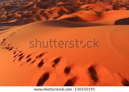 Foot steps on sand dunes in Sahara desert, Morocco