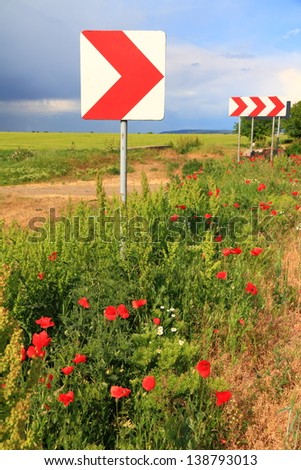 Road signs and a green field with red poppy flowers under gloomy sky
