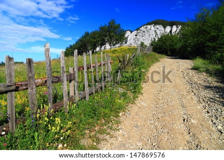 Dirt road and wood fence protecting the green meadow