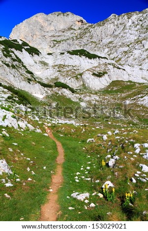 Narrow mountain trail, climbing the mountain in sunny day
