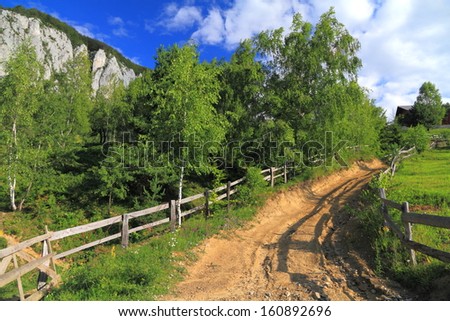 Dirt road climbing a hill covered by vegetation