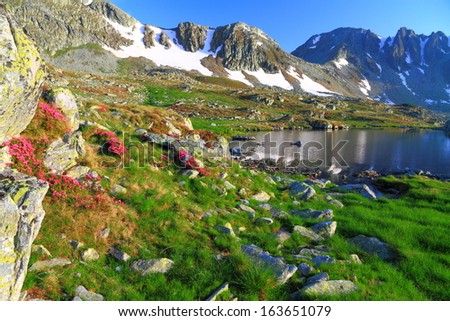 Mountain lake surrounded by red rhododendron flowers at sunset