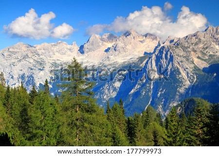 Pine trees forest and remote mountain ridge, Dolomite Alps, Italy