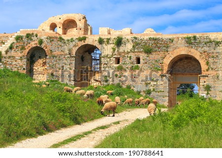 Flock of sheep in front of walls and gates of ancient Nicopolis, Greece