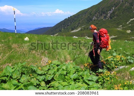 Hiker woman walking on a green trail in sunny day