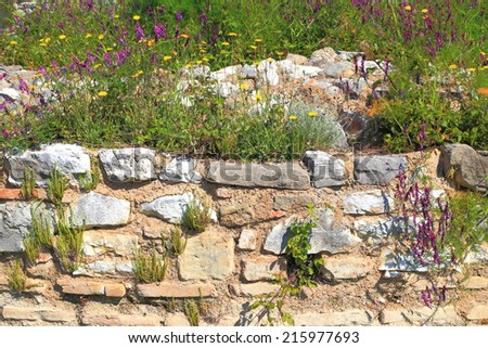 Wild vegetation cover the ancient walls of the Roman city of Nicopolis, Greece