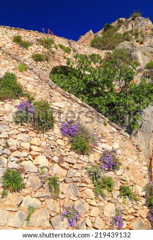 Stairs ascending to Palamidi Castle covered with blue spring flowers, Nafplio, Greece