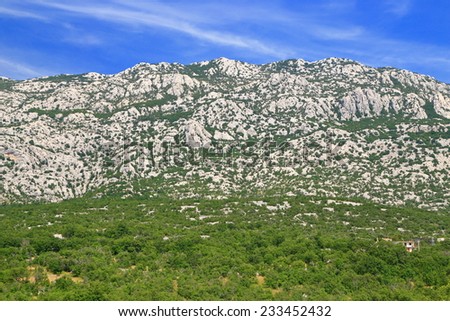 Limestone rocks and green bushes on the Dalmatian coast, Croatia