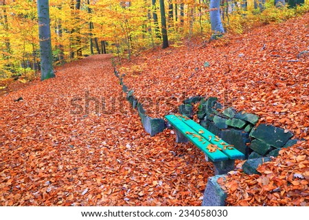 Green bench in autumn forest near Karlovy Vary, Czech Republic