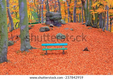 Relaxation spot on autumn forest with green bench in Karlovy Vary, Czech Republic