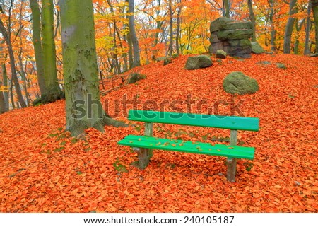 Relaxing spot with a wood bench in autumn forest, Karlovy Vary, Czech Republic