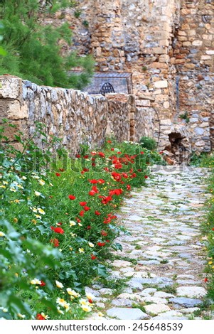 Spring flowers along stone walls inside the Byzantine town of Monemvasia, Greece