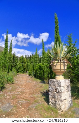 Stone pot and Mediterranean vegetation on the Dalmatian coast, Croatia