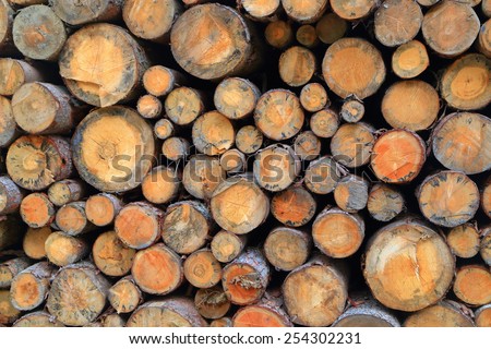 Cut logs piled one on top of another