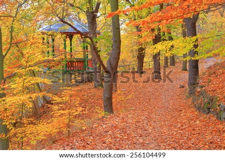 Resting place with wooden arbor in colorful autumn forest, Karlovy Vary, Czech Republic