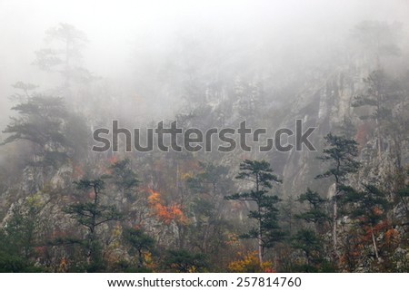 Thin layers of fog cover distant forest on the mountain side in autumn