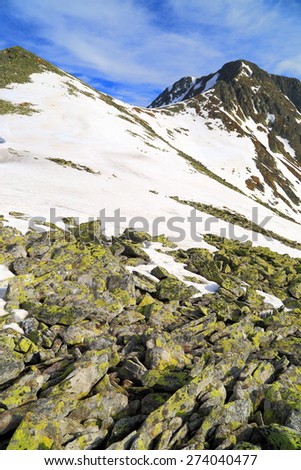Mountain landscape with granite rocks above the melting snow in springtime