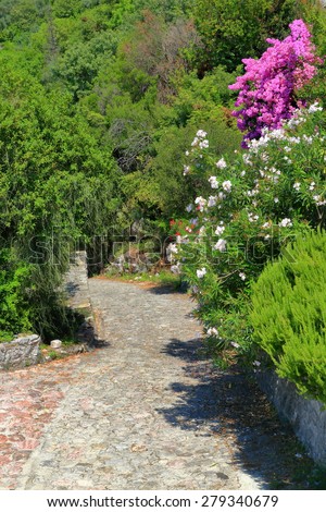 Green Mediterranean vegetation with bright flowers surrounding a stone alley in summer