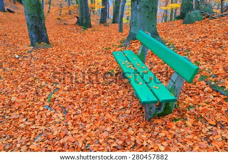 Autumn alley in the forest near green wooden bench, Karlovy Vary, Czech Republic