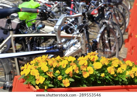 Street side flowers and bikes on a stand in Bruges, Belgium
