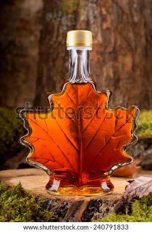 A bottle of delicious maple syrup in hardwood forest setting.