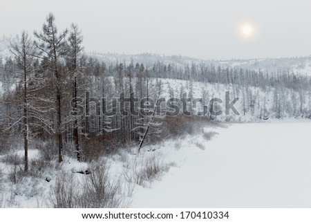 winter landscape with hills, trees in the snow during inclement weather