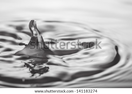 Photo of splash in water
