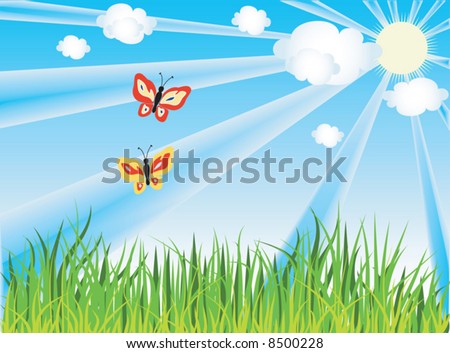 Butterfly Over Grass Under Blue Sky, Clouds And Sun Sto