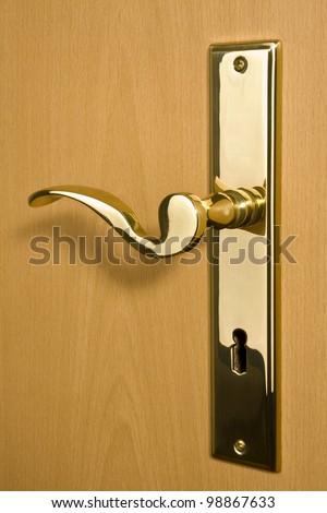 An interior shot of a door with a door handle made of brass.