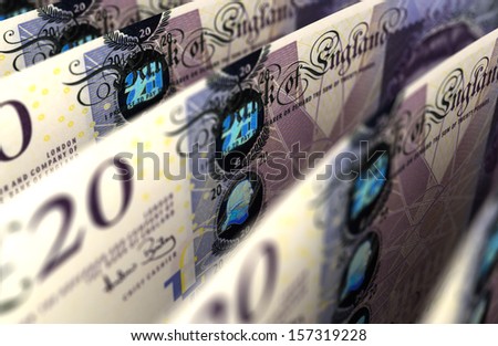 Pound Close-up Pound Close-up