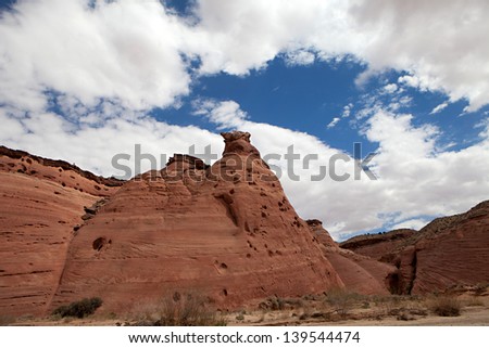 Beautiful sandstone walls line the banks of the Paria River in southern Utah