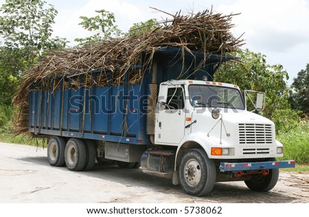 Truckers in Belize transport truck loads of sugarcane to the processing plant