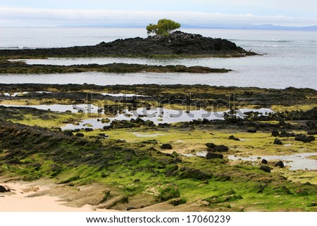 Tidal pools on the shores of the galapagos islands of ecuador