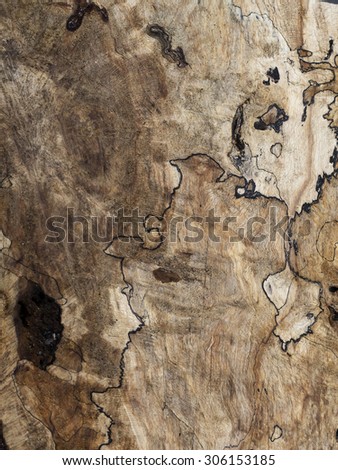 Directly above view of a wood background